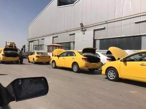 优秀品质获得认可 众泰汽车进军多国市场