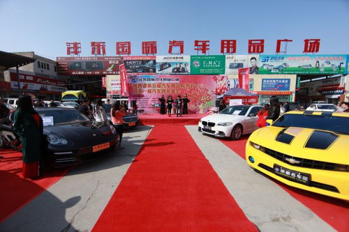 豪车美女助阵陕西第五届汽车用品购物节暨改装盛会