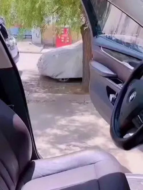 车里备上汽车遮阳伞，夏日行车不再烫屁股的实用好物